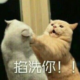 让你依靠