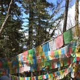 山