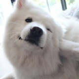 瑞秋Rachel