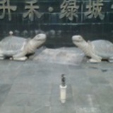 一个美丽的邂后