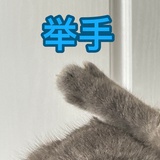 清猗