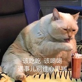搬个小板凳坐好