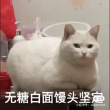 檐下燕