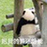 小小