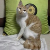 方方