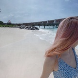 流星和夏夜的海