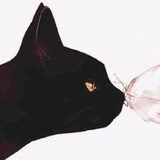林淼淼