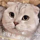 丹心向阳