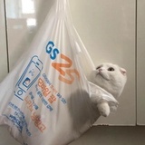 酷酷