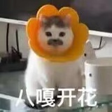 尹蔓菁