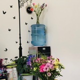 1hyacinth