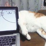 捕捉中