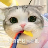 芒