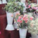 阿花