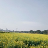 hdisland