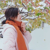 那就这样吧