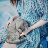 @俏小妞