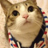 大大泡泡糖