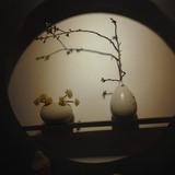 朱樱