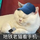 林☁️