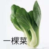 qmwendychan