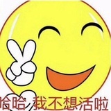 阿尔卑微