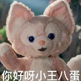 我的cp是真的