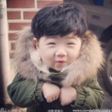 圆成一只小团子