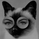 兔纸丶Cattaneo