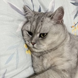 知乎