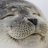 白墨轩