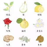 二毛的月亮