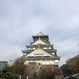 阳阳阳2019