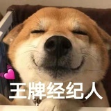 七年
