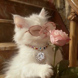 糯米团子香草梨