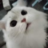 防火女