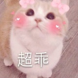 回来摸鱼