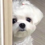 柠檬酸不酸