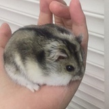 Tom