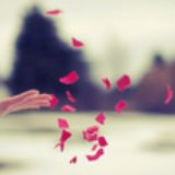 花开花落