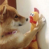 桃子大侠