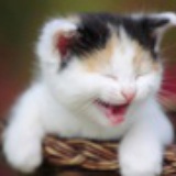 coco