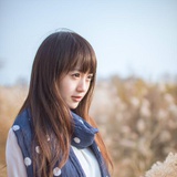 足球直播