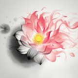 团团花哚