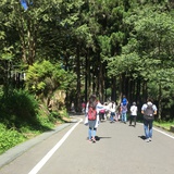 勤劳小翅膀