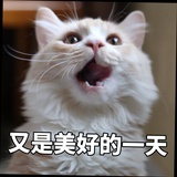 假若少年的放逐