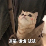 热血教师
