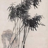 绿蜡笔