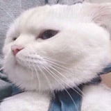 小花