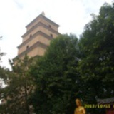 延河赤子